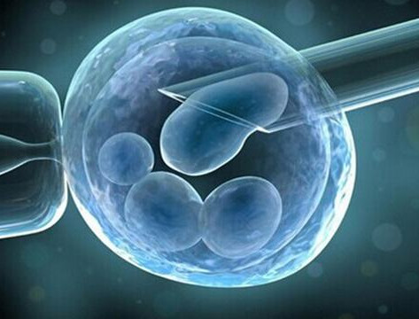 供卵代怀生子代生生男孩